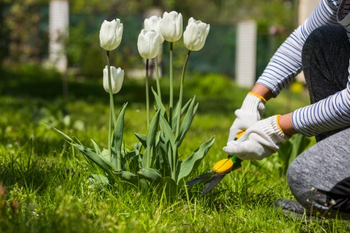 Professional gardener trimming a hedge in Ealing garden