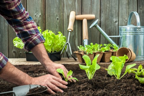 Professional garden clearance service in Ealing removing debris