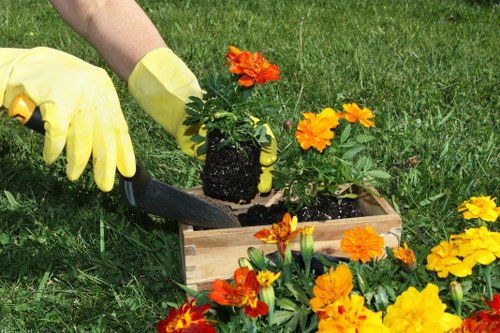 Seasonal flowers blooming in a well-designed Ealing garden