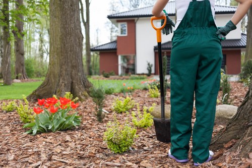 Garden pest control with natural remedies in Ealing